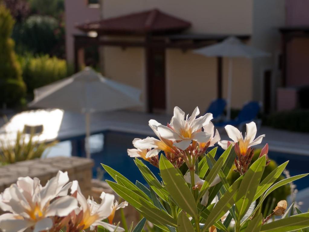 Eligia Villas Mixórrouma Zimmer foto